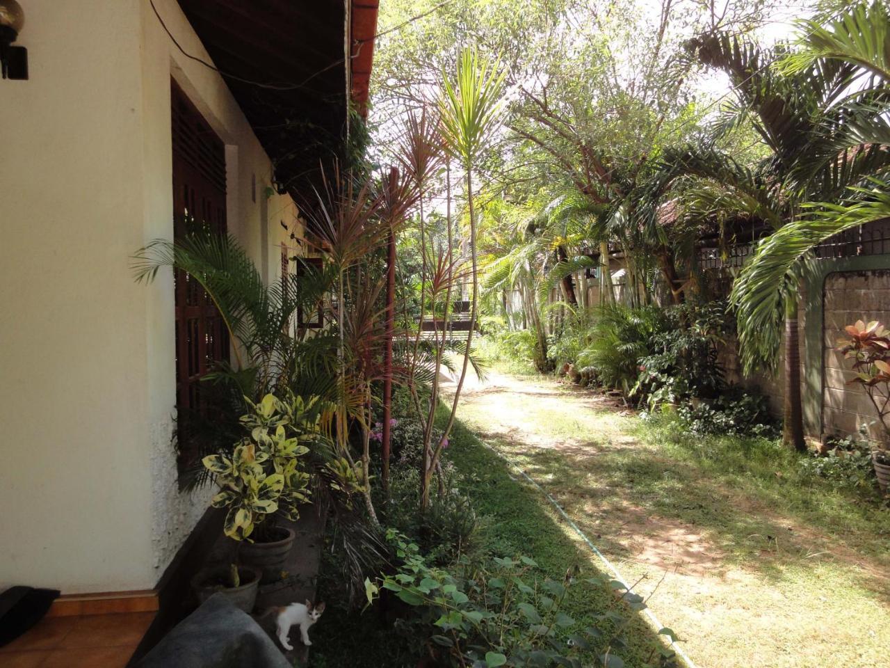 Lidwins Inn 15 Minutes To The Airport Negombo Exterior foto